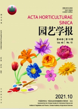 @ˇW(xu)(bo)Ǻڿ