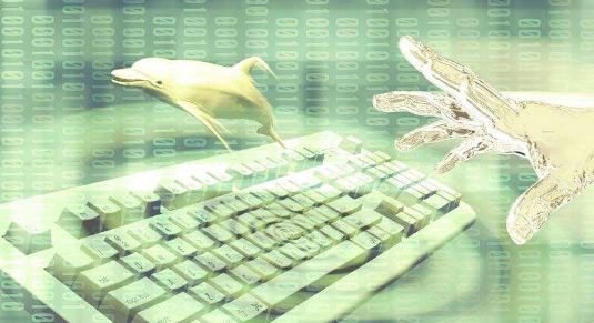 ͨŹ̼gݔ팍`·