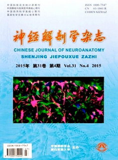 http://m.wangshangbanli.cn/qk/yixue/5106.html