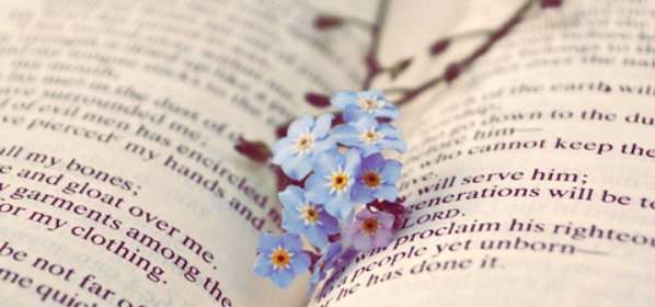 sciՓһ֔