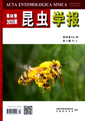 xW(xu)