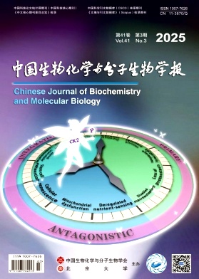 Ї(gu)ﻯW(xu)cW(xu)(bo)